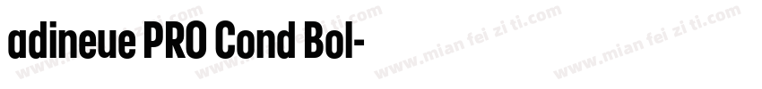 adineue PRO Cond Bol字体转换